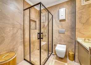 مشروع استثماري في وسط ألانيا