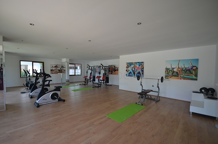 شقق في قلب أوبا / ألانيا