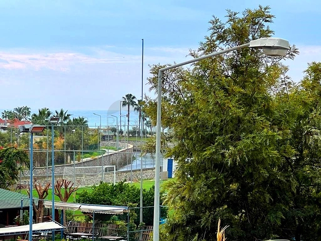 2 + 1 في المجمع المتميز