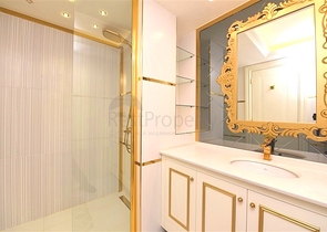 2 + 1 في المجمع المتميز