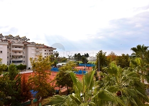 2 + 1 في المجمع المتميز