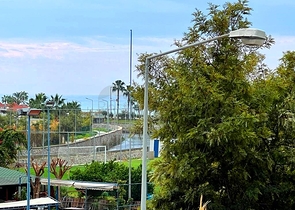 2 + 1 في المجمع المتميز