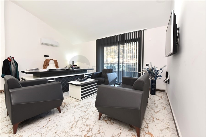 مكتب فاخر في وسط ألانيا