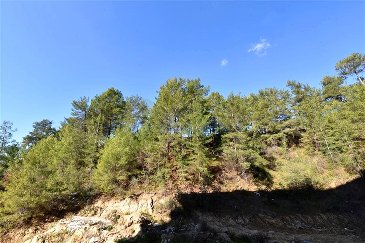 شقة 1+1 في حي أفسالار