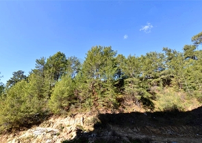 شقة 1+1 في حي أفسالار