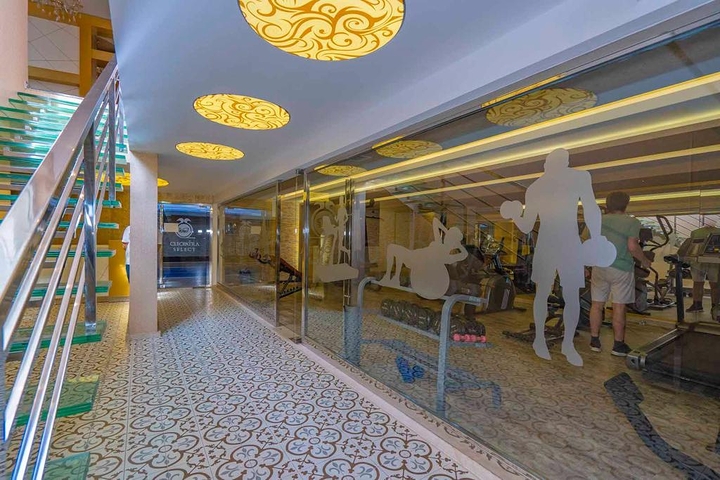 شقة 1 + 1 على كليوباترا