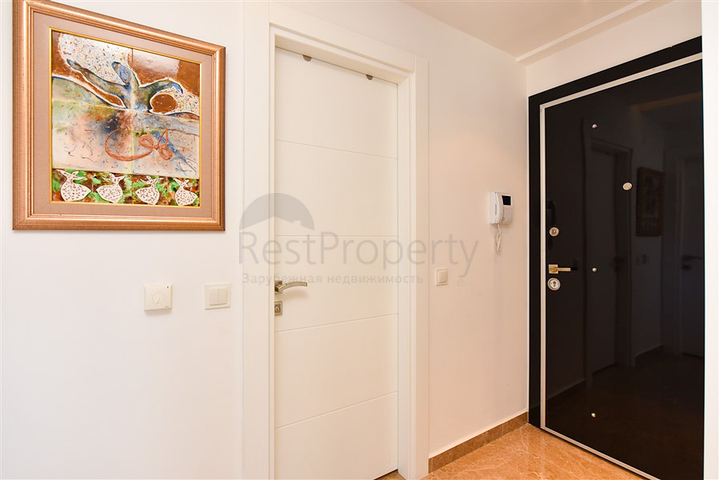 شقة 1 + 1 على كليوباترا