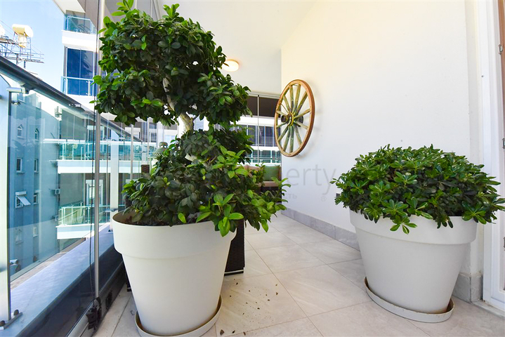 شقة 1 + 1 على كليوباترا