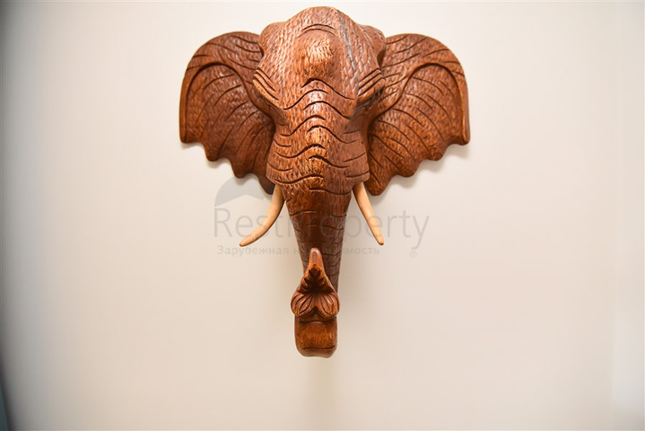 شقة 1 + 1 على كليوباترا