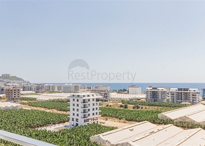 شقة 1+1 في منطقة محمودلار