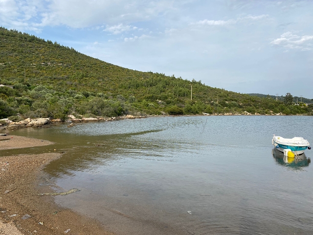 إقامة فريدة من المالك مع إطلالة على البحر محاطة بالغابة