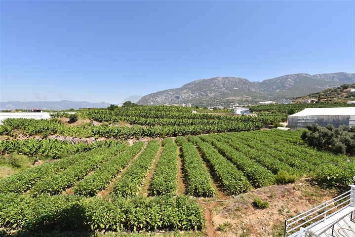 شقة مفروشة 1 + 1 مطلة على البحر والجبل في منطقة محمودلار