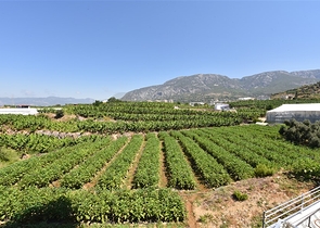 شقة مفروشة 1 + 1 مطلة على البحر والجبل في منطقة محمودلار