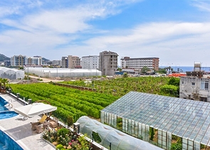 شقة فاخرة 1 + 1 في منطقة كارجيجاك