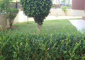 شقة غرفتين وصالة ضمن منطقة حيوية في اوبا / الانيا 