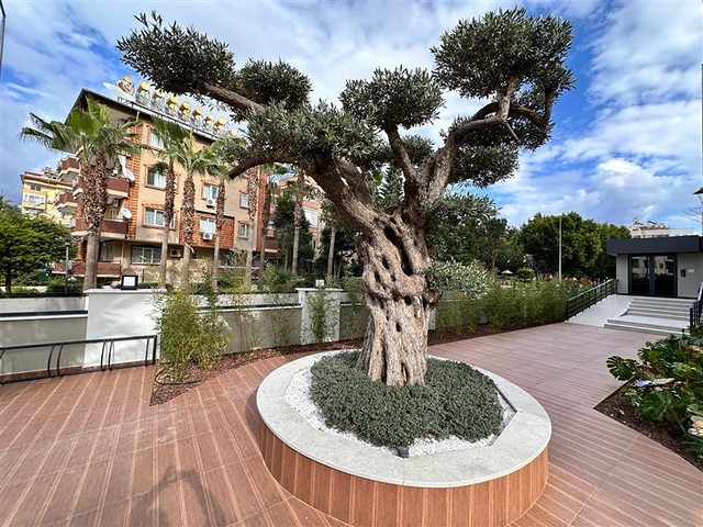 1 + 1 في مجمع من مطور الجودة