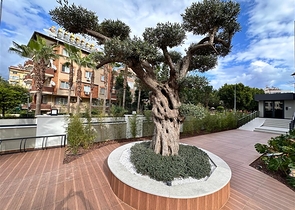 شقة 1+1 في وسط ألانيا