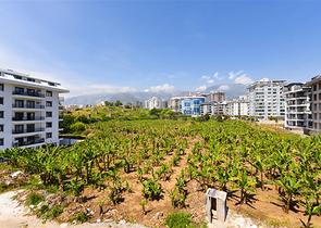 شقة 1+1 في محمودلار;