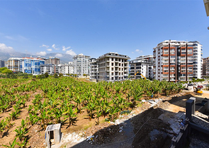 شقة 1+1 في محمودلار;