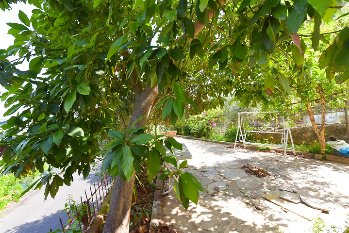 شقة 2+1 في المكان التاريخي لألانيا