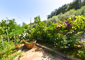 شقة 2+1 في المكان التاريخي لألانيا