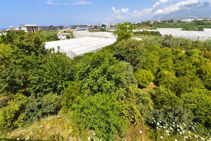 فيلا 4+1 بتصميم عصري في منطقة كارجيجاك الخلابة