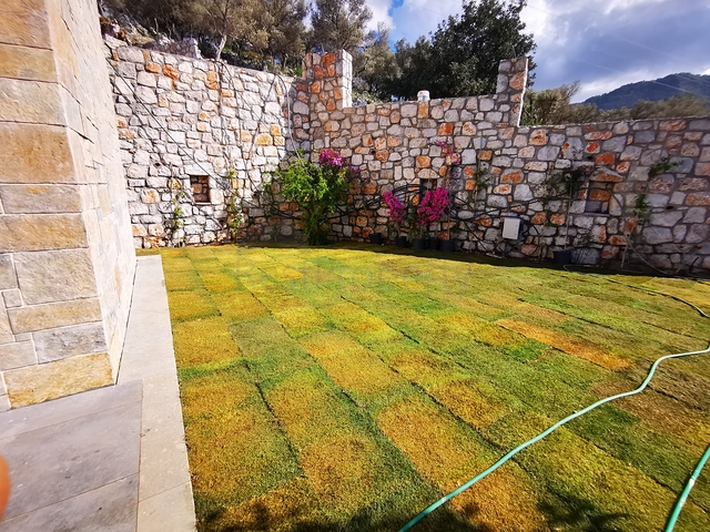 فيلات في منطقة توركبوكيو الخلابة ، محاطة بالخضرة الكثيفة. 