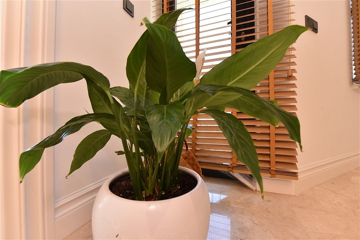 مصمم تجديد فيلا 5+1