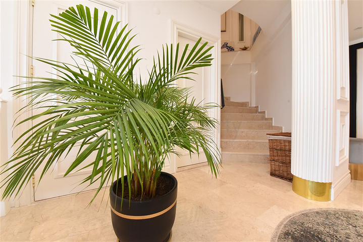 مصمم تجديد فيلا 5+1