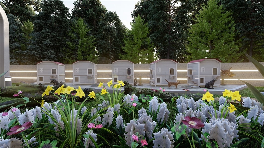 مشروع استثماري جديد في منطقة واعدة في أوبا