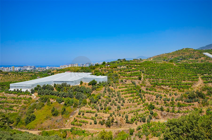 فيلا في سيتا 4 + 1 مع حديقة صغيرة وإطلالات على البحر والجبل في منطقة كارجيجاك الخلابة