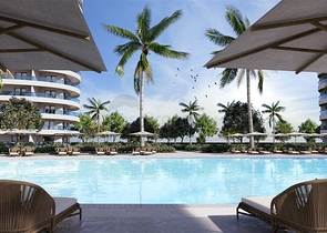 مشروع استثماري في منطقة اسكيلي