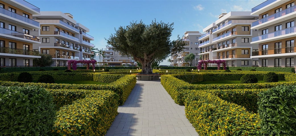 مشروع واسع النطاق في منطقة إسكيلي