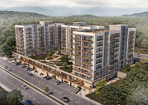 مشروع استثماري لمفهوم الأسرة 