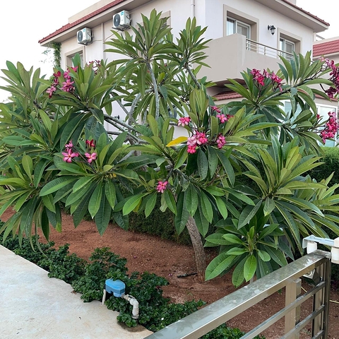 فيلا على ساحل لونغ بيتش