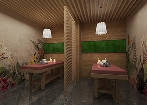 مشروع استثماري جديد في منطقة دميرتاش