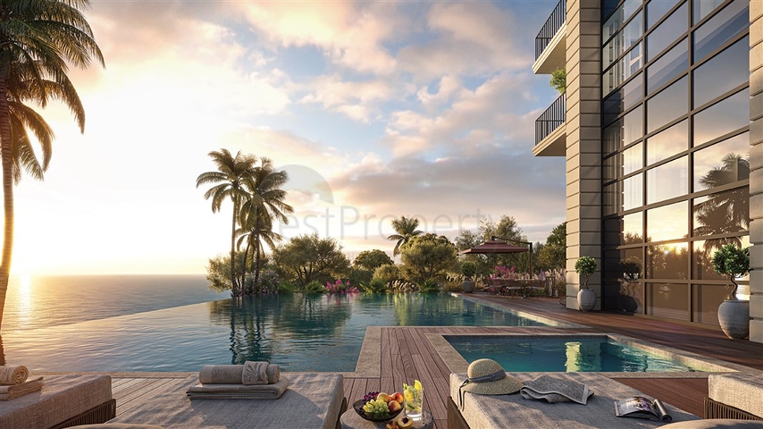 مشروع استثماري في منطقة اردملي 