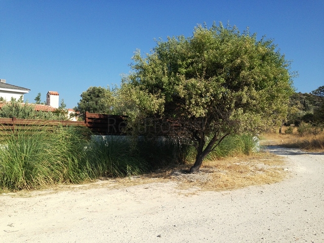 فيلا مع قطعة أرض كبيرة مع حديقة خضراء في الاشاتي