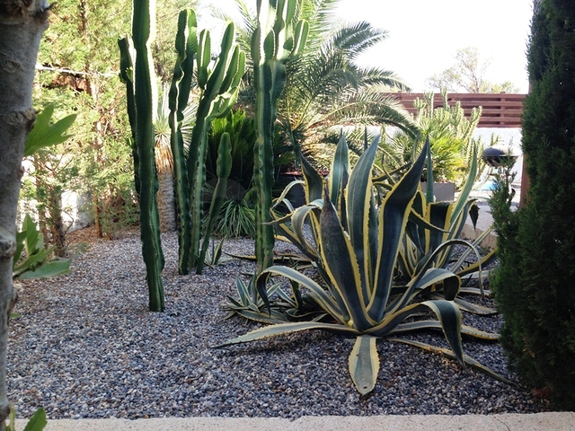 فيلا مع قطعة أرض كبيرة مع حديقة خضراء في الاشاتي