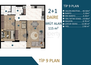 مشروع استثماري في منطقة كيبيز-أنطاليا 