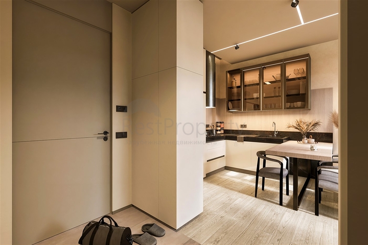 مشروع استثماري في منطقة البرسيمون - أنطاليا الصغيرة 