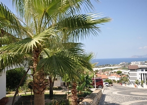 فيلا مفروشة مطلة على البحر 