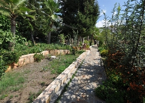 فيلا مفروشة مطلة على البحر 