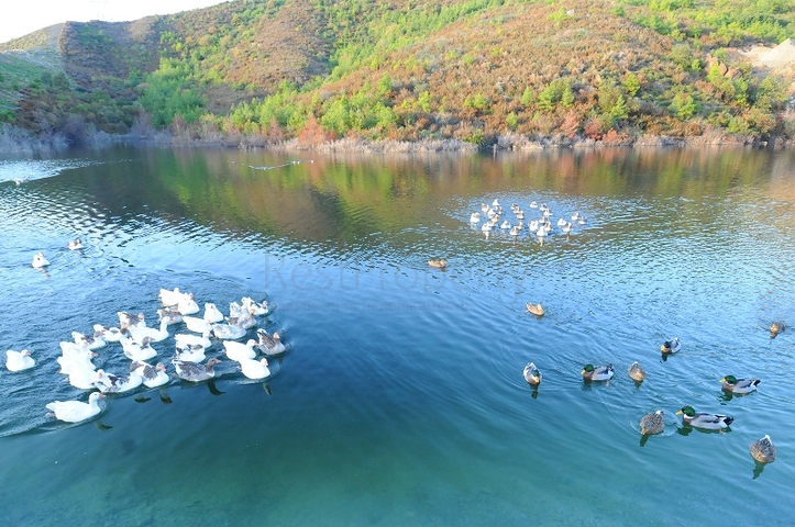 شقة حصرية 2 + 1 من المالك في مجمع سيدي الذهبي