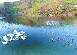 شقة حصرية 2 + 1 من المالك في مجمع سيدي الذهبي