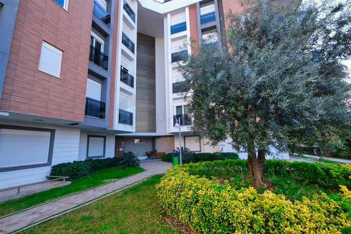 شقة 1+1 في البرسيمون - حي أنطاليا 