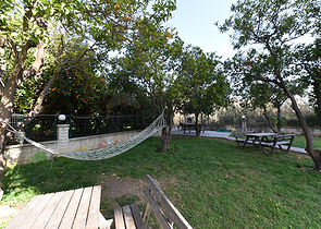 ضمن منطقة سكنية هادئة - شقة غرفتين وصالة مفروشة - في افسلار غرب الانيا 