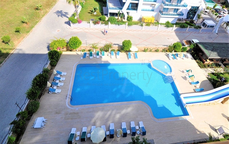 شقة مفروشة على السطر الأول