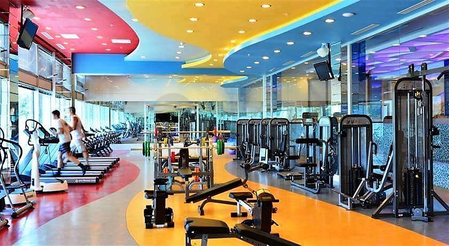 شقة مفروشة 3 + 1 