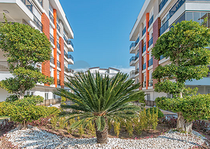 مشروع فاخر بوسط حي ليمان على بعد 600 م من البحر